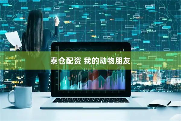 泰仓配资 我的动物朋友