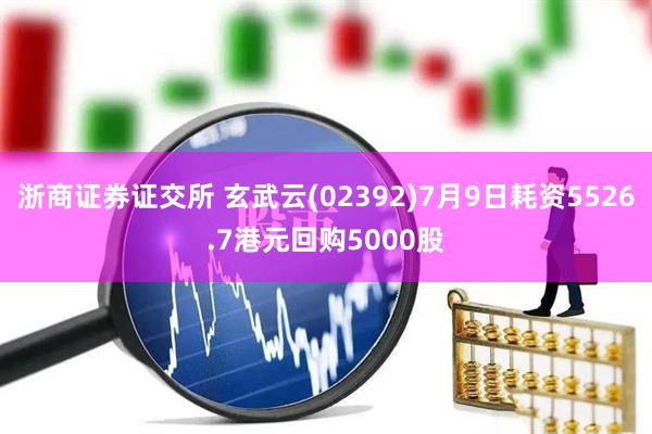 浙商证券证交所 玄武云(02392)7月9日耗资5526.7港元回购5000股