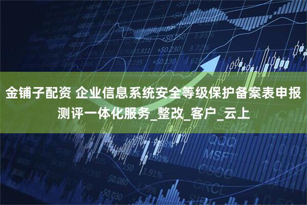 金铺子配资 企业信息系统安全等级保护备案表申报测评一体化服务_整改_客户_云上